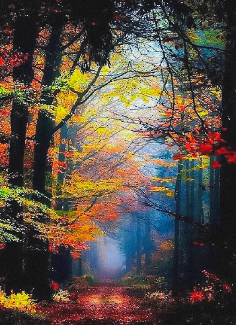 capuana7's tweet photo. @__Liliana____ @Luna_Rossa__ @OriettasRecipes Buongiorno 😘❤️ https://t.co/bZVO6yldRG