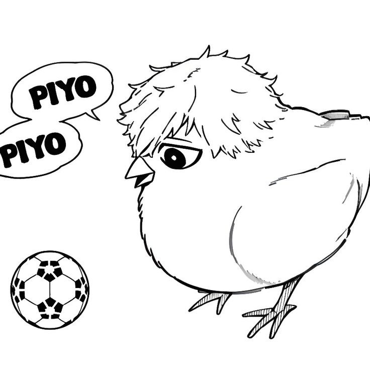 Kae Kitty Reo Enthusiastic On Twitter he s A Big Baby Chick Your kae-kitty-reo-enthusiastic-on-twitter-he-s-a-big-baby-chick-your