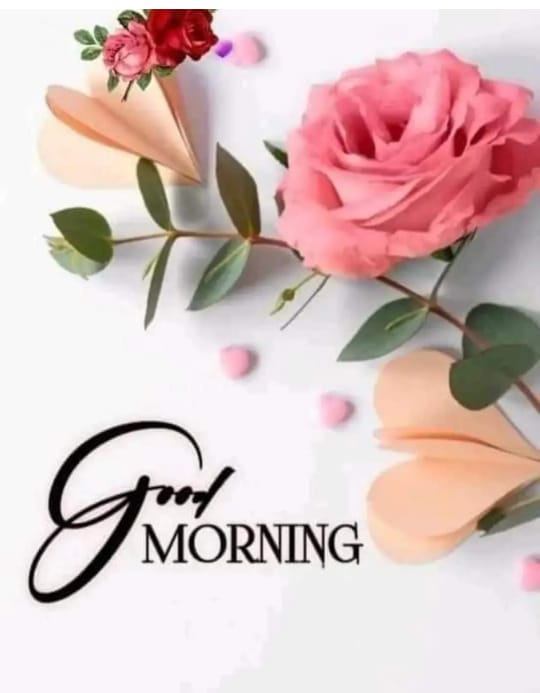 bouhadjerabdel2's tweet photo. @12Risdianto10 https://t.co/xiTMzuz7Jc