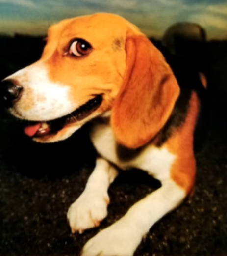 Wtf is this dude doing in my home get out