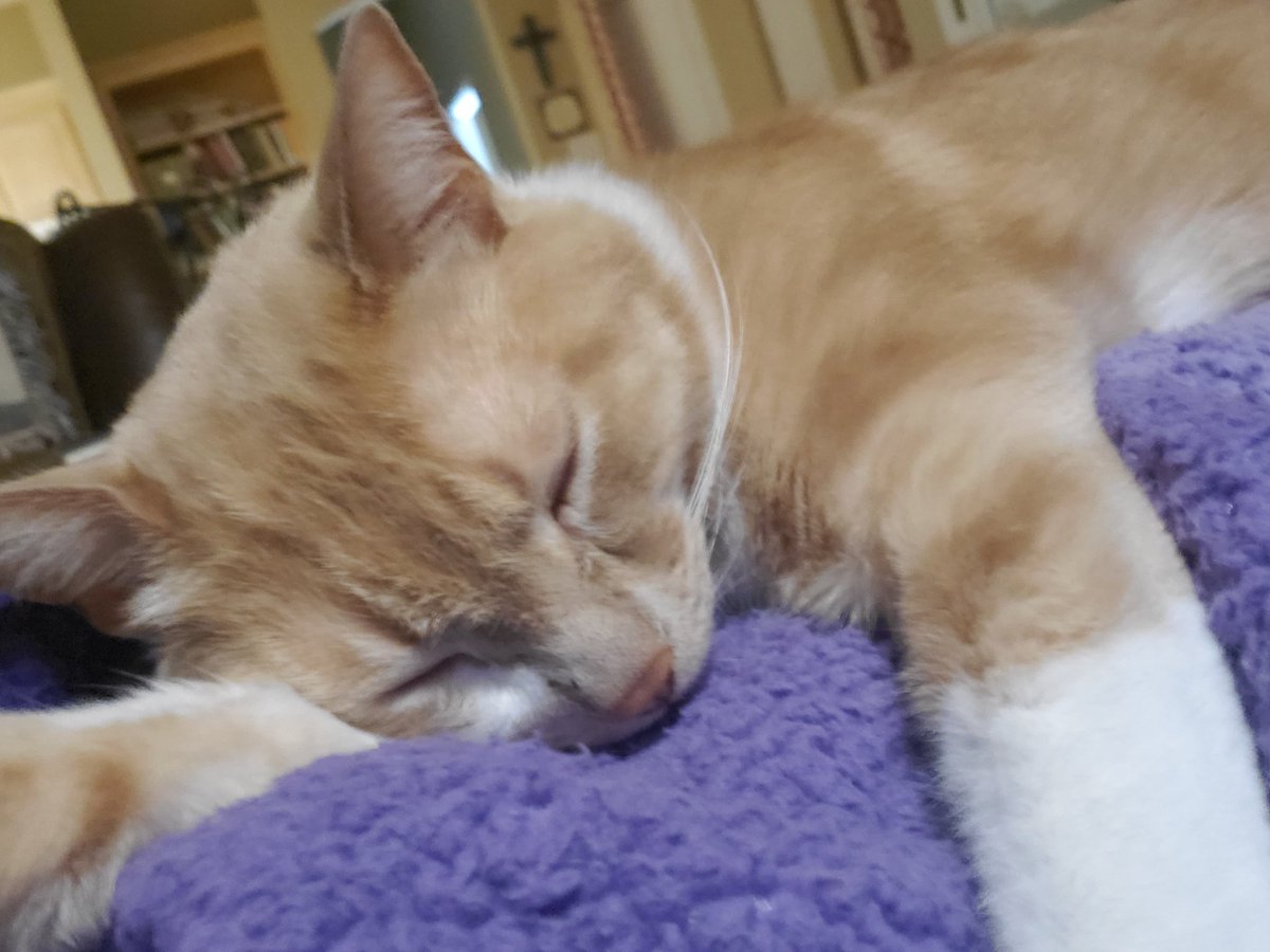 mom2milo tweet media