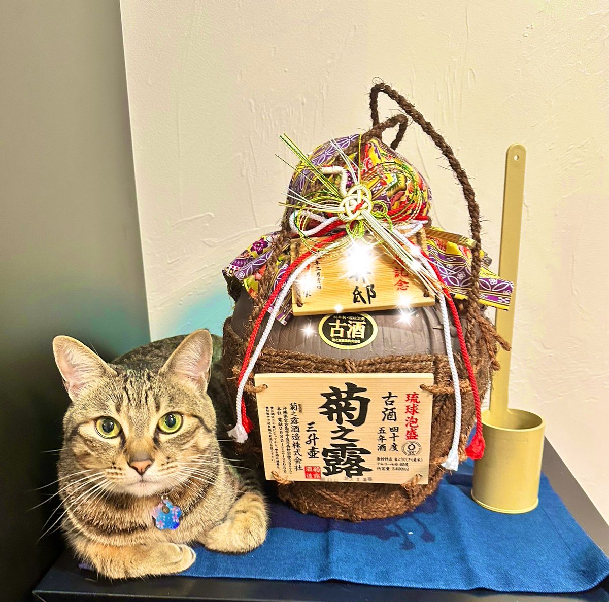 宮古島の移住と新築祝いを兼ねて、お友達夫婦から豪華なお祝いを頂きました！
菊の露の甕を更にアレンジしてオリジナルの豪華バージョンに✨
とっても煌びやかで、愛情の籠った贈り物。
本当にユニークで愛情深い素敵な夫婦💕
#宮古島
#菊の露
#宮古島移住