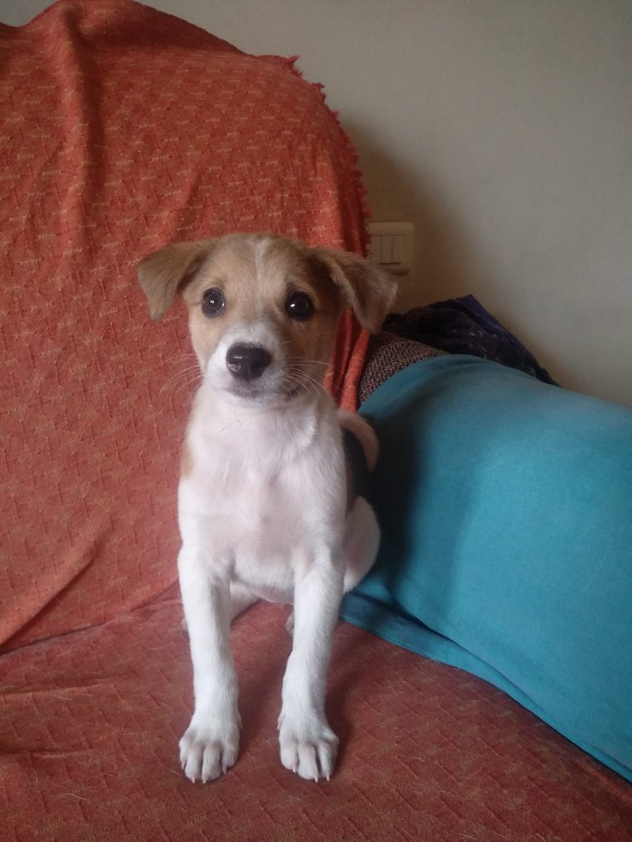 Soyra Gune tweet media