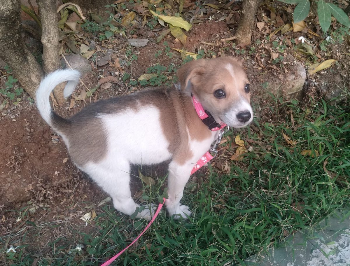 Soyra Gune tweet media