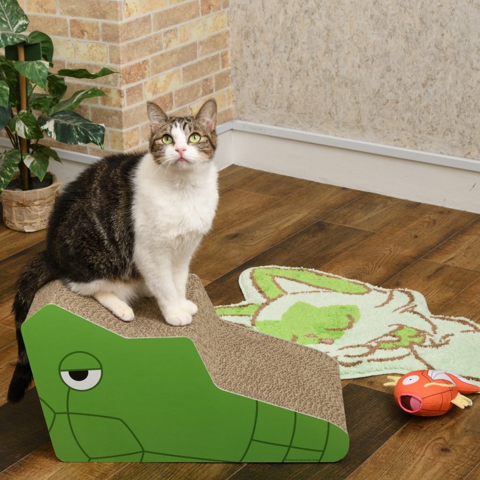 pokejungle's tweet photo. Just in case you needed more cats on your timeline, here are two more Pokémon products that your feline friends would love! Sadly, exclusive to Japan. https://t.co/0C8888Cwbz