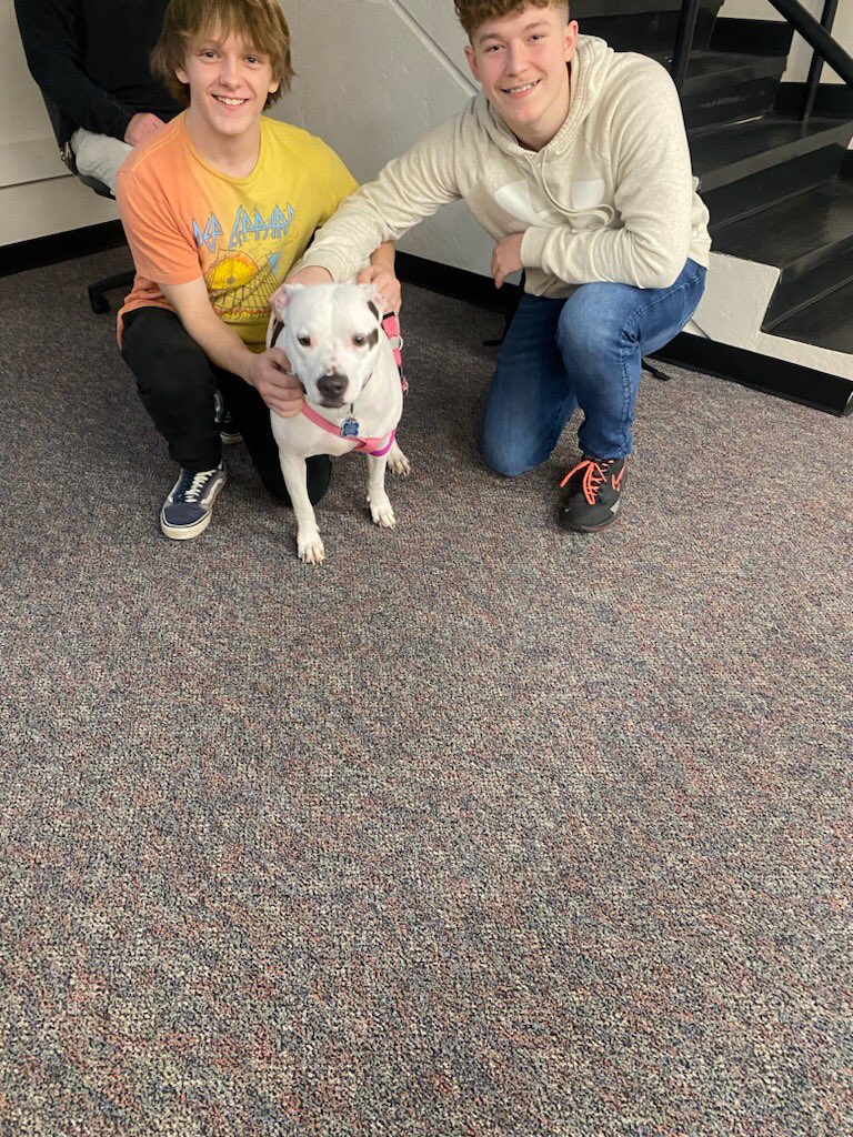rushvillekey's tweet photo. Today Key Club had our monthly meeting. We made dog toys for our amazing local animal shelter. Mr. Hadley brought in his shelter dog for people to play with during our meeting. Liliah is such an amazing and cute dog. She was a blast to have around today! https://t.co/OfPfDaD1nz