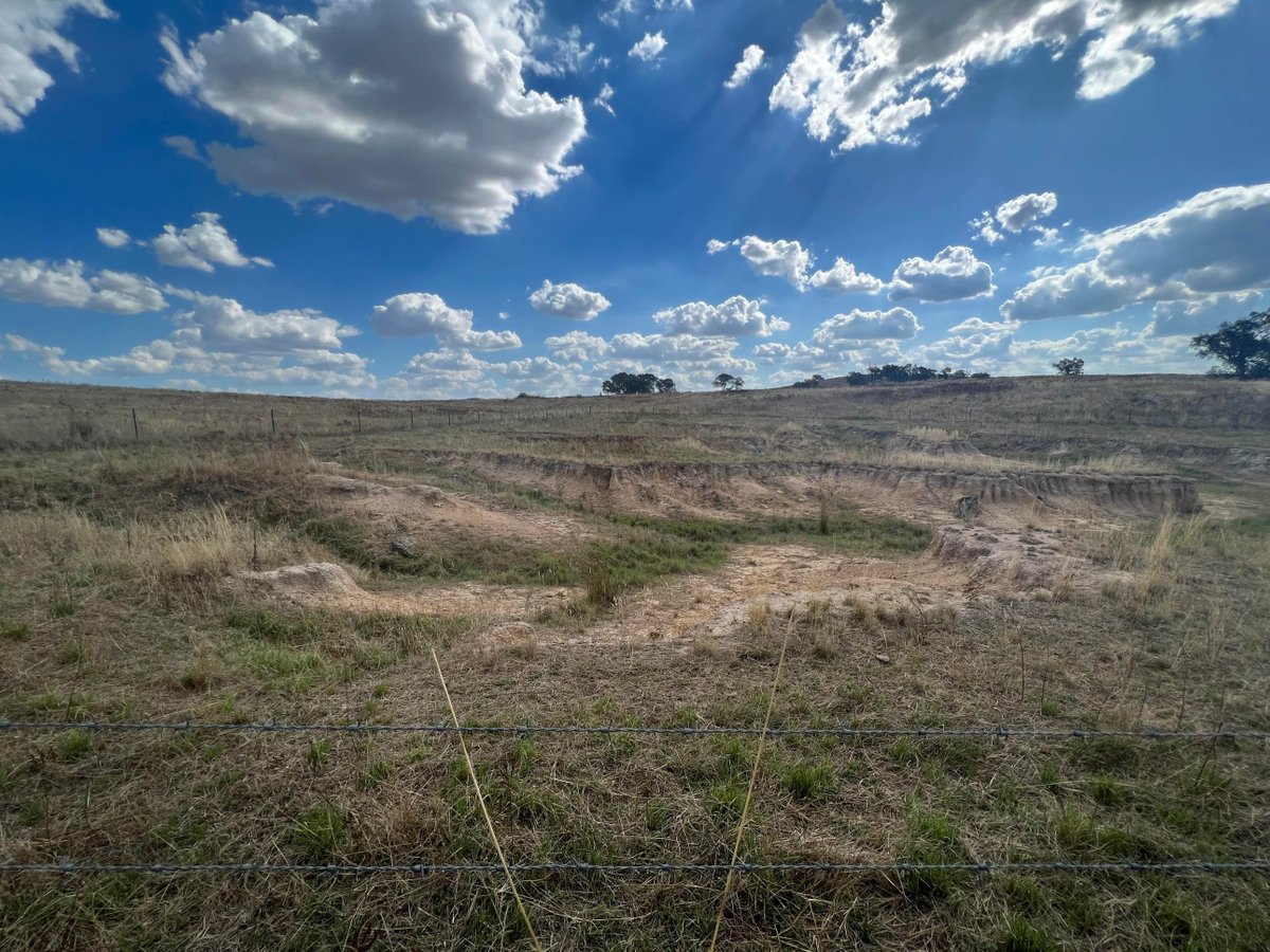 GMGM
The farm has been selected🌳🌳🌳
Lots of Regeneration needing to be done through the MetaTrees NFT project🌱
#NFT #farming #soil #farm #soilhealth #trees #regenerativeagriculture #greenchipnft #carbon #environment #ecosystem