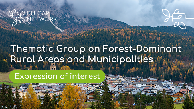 Last day to join! 📢 Send your expression of interest for our new Thematic Group on #EUForests-Dominant #RuralAreas and municipalities 🌳 Are you an expert on the topic? Apply here 👉 kont.ly/a07082f9