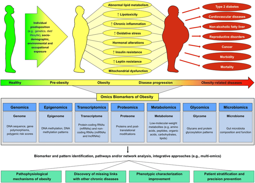 Omics Biomarkers in Obesity: Novel Etiological Insights and Targets for Precision Prevention

link.springer.com/article/10.100…