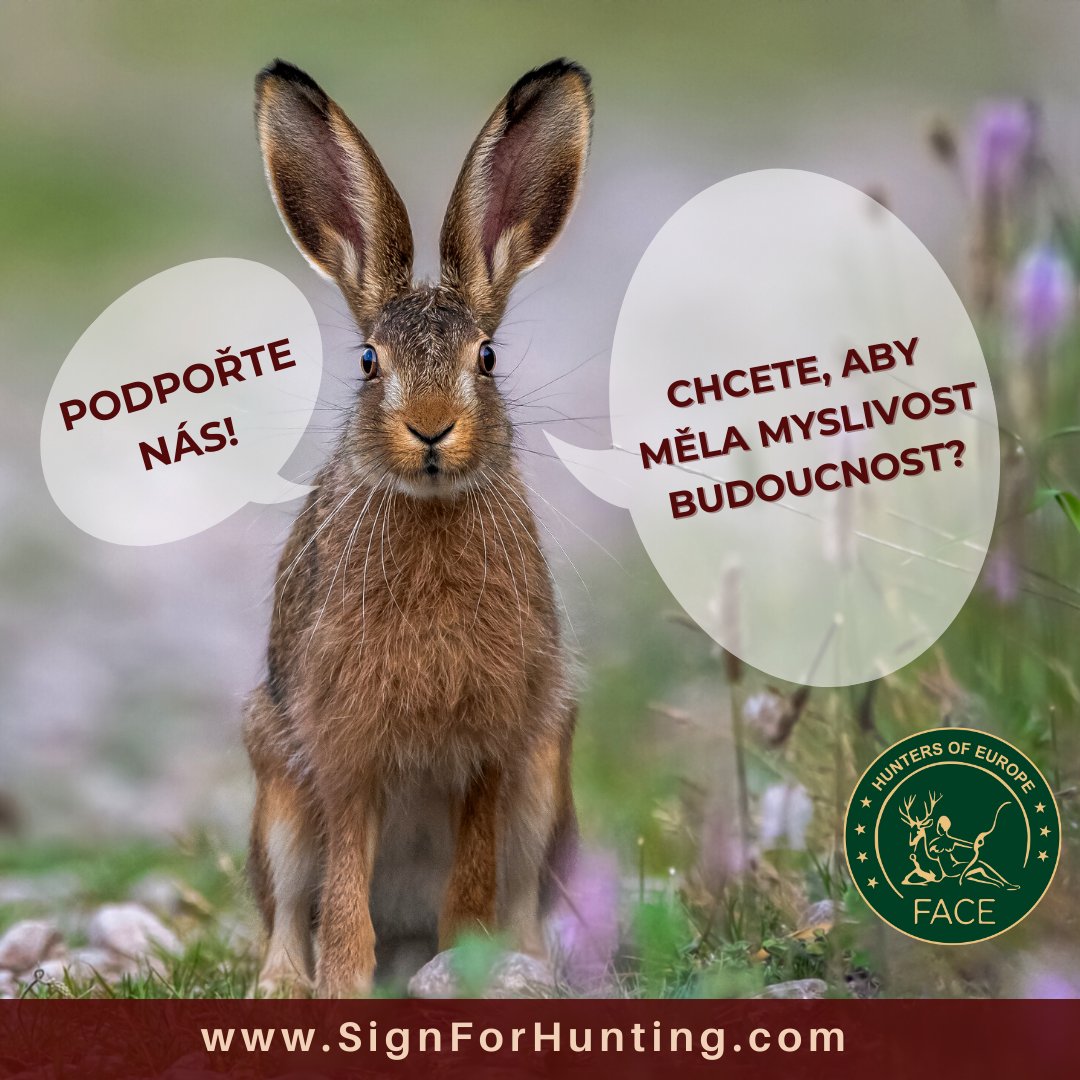 #SignForHunting! 
Požadujeme pestrou krajinu v Evropě pro všechny. Ukažte svou podporu přírodě. Podepište budoucnost myslivosti. 👉 signforhunting.com/cs/
#FACE