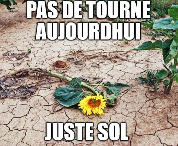 MisterMatounay's tweet photo. Vraiment mood du jour https://t.co/PVSGuY6KUG