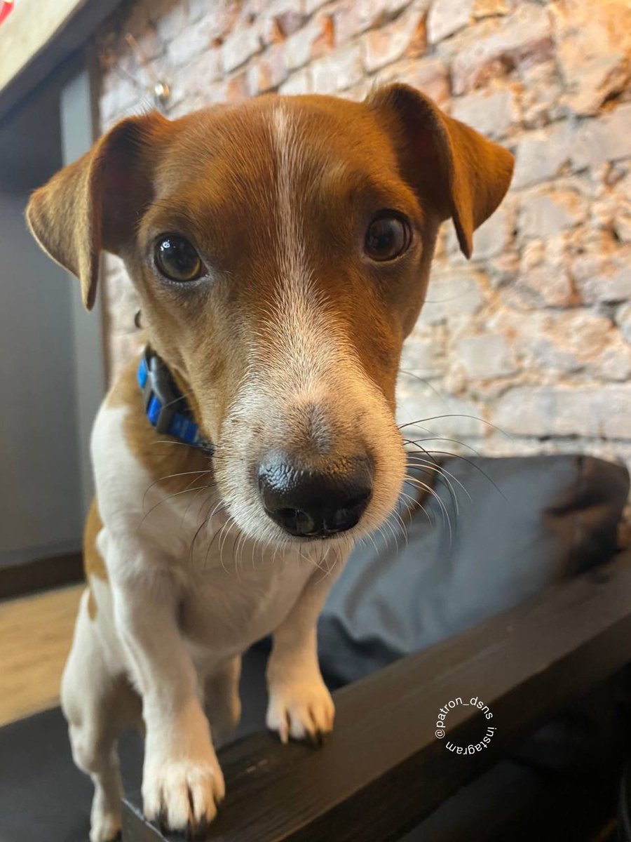 A year ago, when the president of a terrorist state spoke, we were horrified because of the unknown. Time passed, and most of us haven't even watched his speech today. We just don’t care. We’re not afraid anymore. Glory to Ukraine 🇺🇦