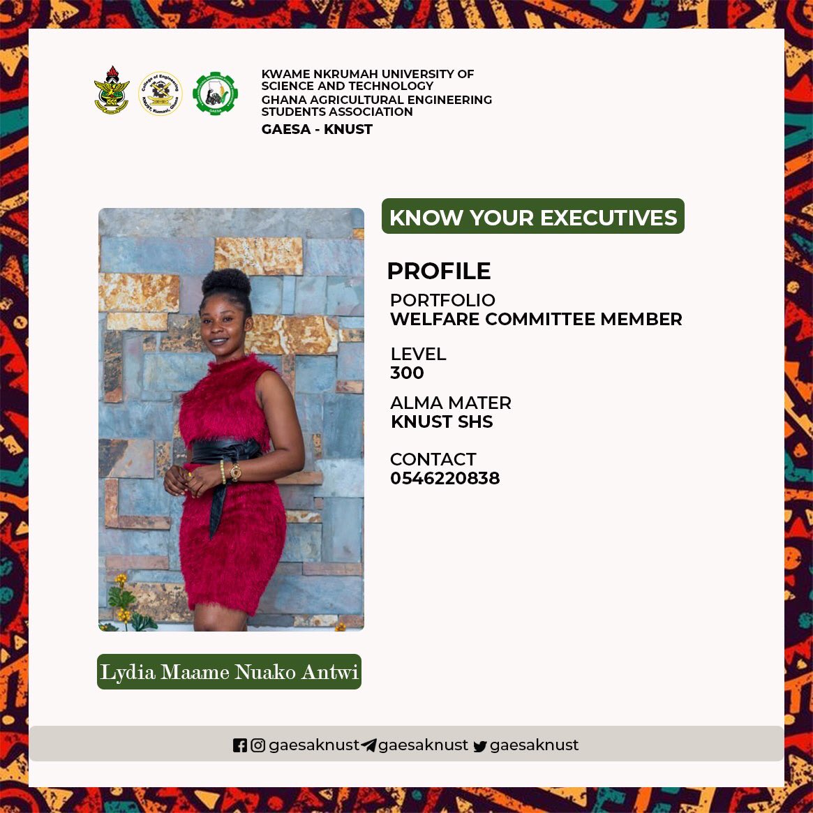 GaesaKnust's tweet photo. 📍KNOW YOUR EXECUTIVES📍

These are the appointed executives of the Welfare Committee for the 2022/23 administration with Precious Osei Sarpong as the Vice President and the Welfare Committee Chairperson . 

Congratulations!
Do serve well🥳 https://t.co/QLQCZ2AV6F