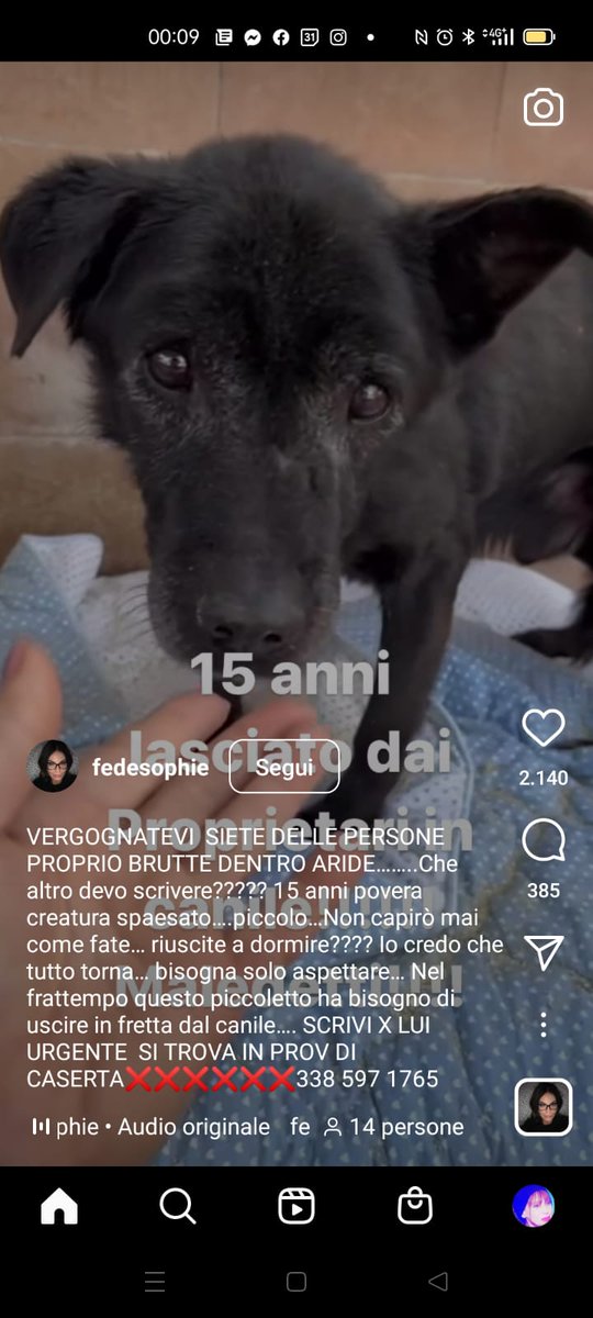 CHE SCHIFOSI. PURTROPPO NN CI 
SONO PAROLE MA TANTI RTRTRT 
HA 15 ANNI NN HA MOLTO TEMPO
SAREBBE MOLTO TRISTE CHE LA 
SUA VITA SI SPEGNESSE IN UN BOX
😭😭😭😭😭😭😭🙏🙏🙏💔💔🍀🐞