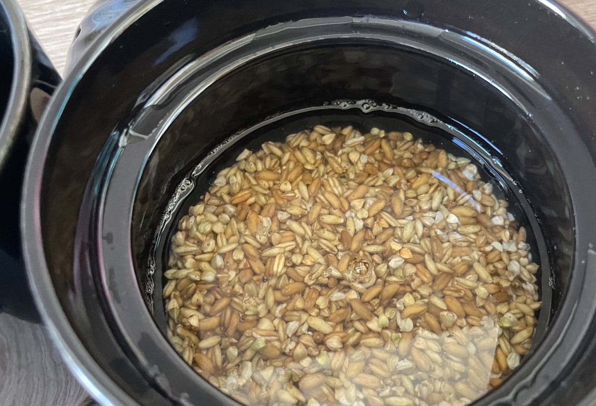 今日のご飯🍚蕎麦の実も入れてみる！

子供の頃から麦や玄米、雑穀米が大好きだから、ドイツでこういうの大量に買えるの嬉しい🥰💓

しかもBio🤣

※パン作りのやつ使ってるよ😂笑 https://t.co/4mGnQAF4va https://t.co/HaLJE5RBy3