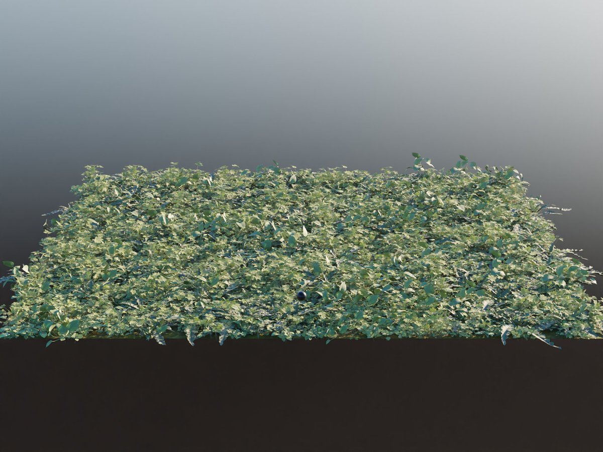 Pravit Reddy tweet media