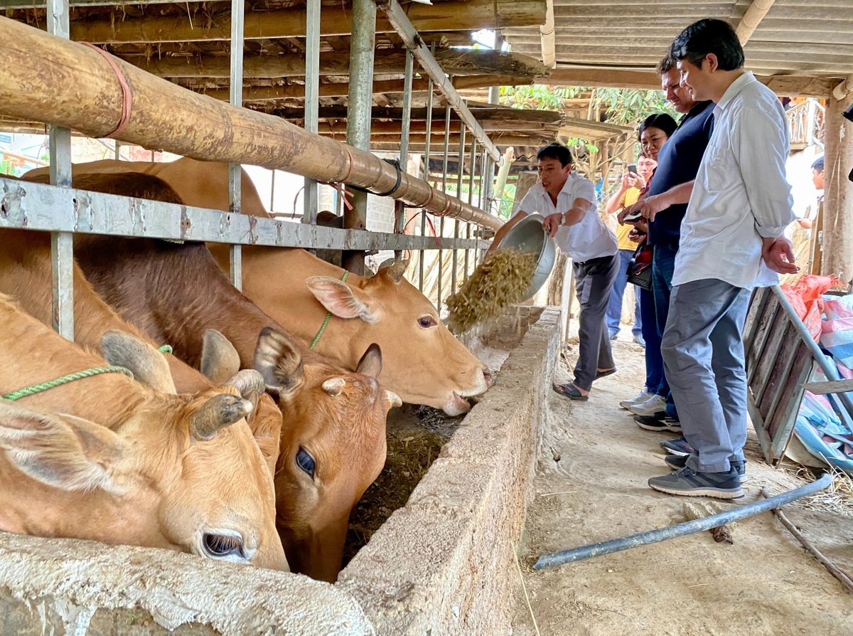 ASSETProjectSEA's tweet photo. #ASSETProject team has just made a visit to 4 pilot villages and farm model implementation in Son La and Dien Bien province, Vietnam ๐ป๐ณ Happy to see progress and strong interests of farmers.
@Cirad #NOMAFSI #NIAS
#agroecology #sustainableagriculture https://t.co/kwHDLCyQes
