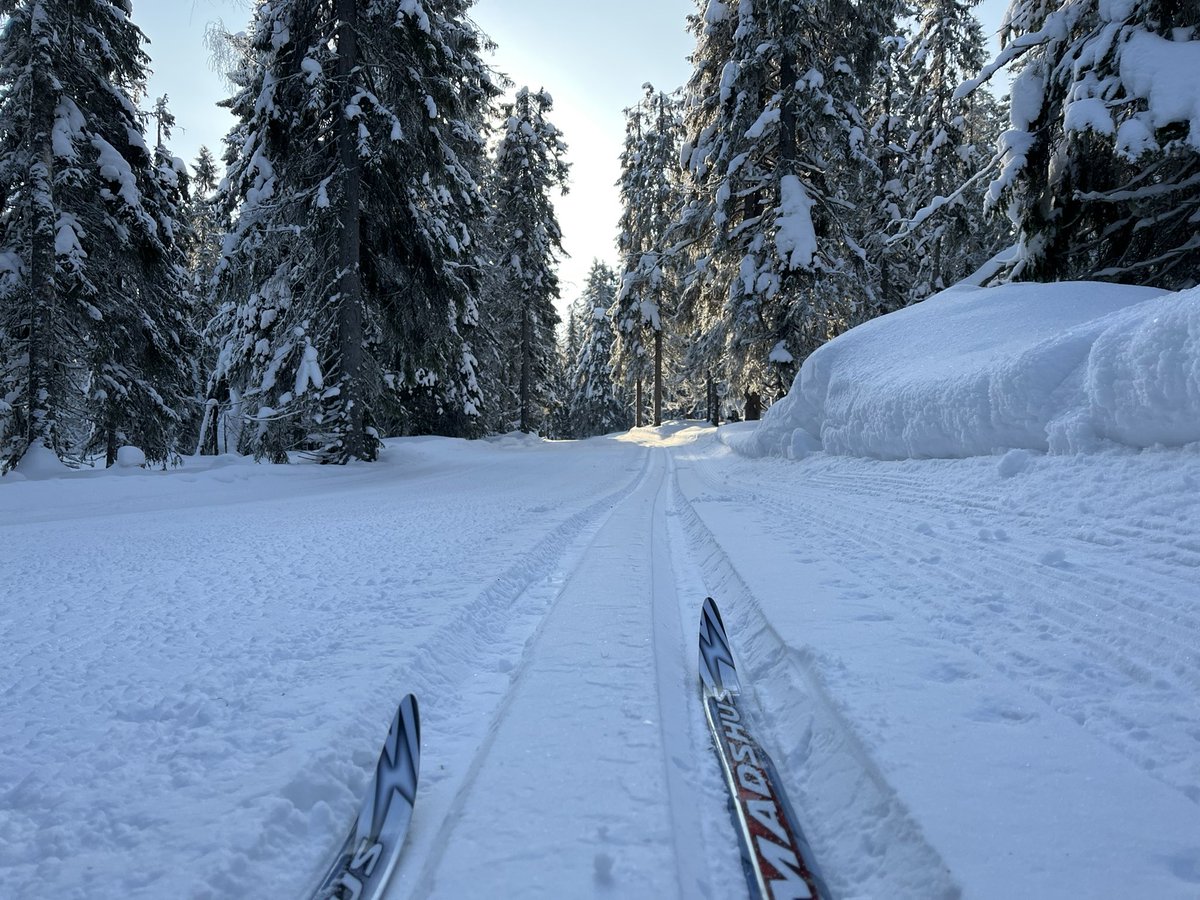 jtmattil's tweet photo. 17 raatia pakkasta, seinäpito, Porttivaaran lenkki. Joskus sitä ihminen osuu oikeaan paikkaan oikeaan aikaan. #hiihto https://t.co/b1Er5fxBoz