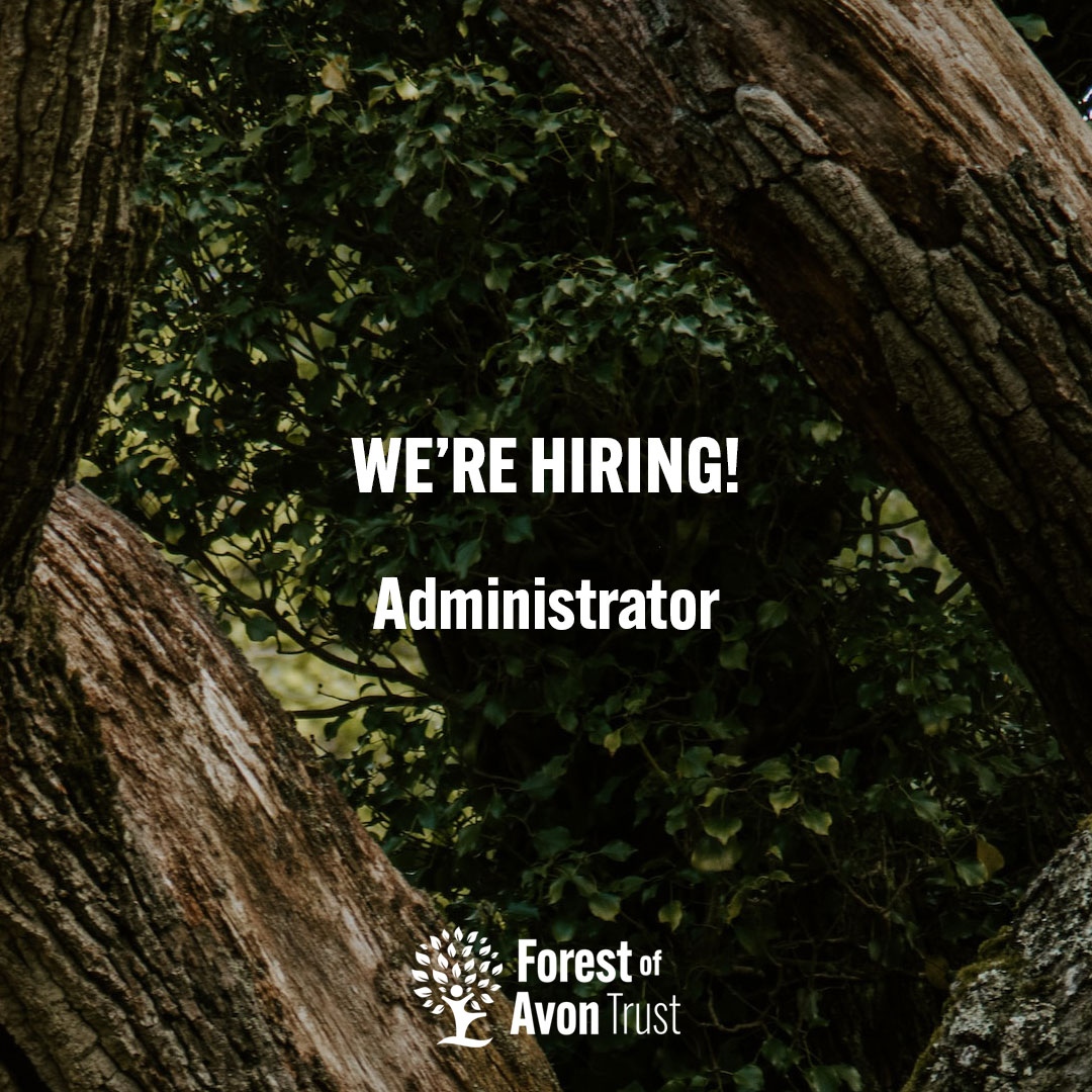There's still time to apply!⏰

Closing deadline 2pm today - click the link to find out more: forestofavontrust.org/the-trust/new-…

#forestofavon #voscurjobs #charityjobs #jobsearchbristol #bristoljobs #bathjobs