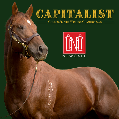 NewgateFarm's tweet photo. CAPITAL ASSET fights back &amp; makes it a dead heat 🔥

The @YulongInvest bred son of CAPITALIST🏆 banks win number 2 under @Reganbayliss despite being held up in the final stages💪

Congratulations @TripleCrownSynd &amp; connections on another smart performer👏👏 https://t.co/aBrMex5Edk