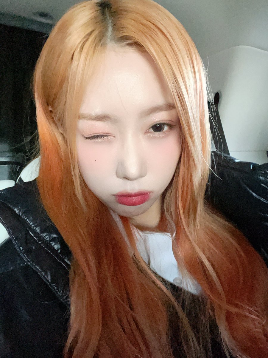 picsofhandong's tweet image. 