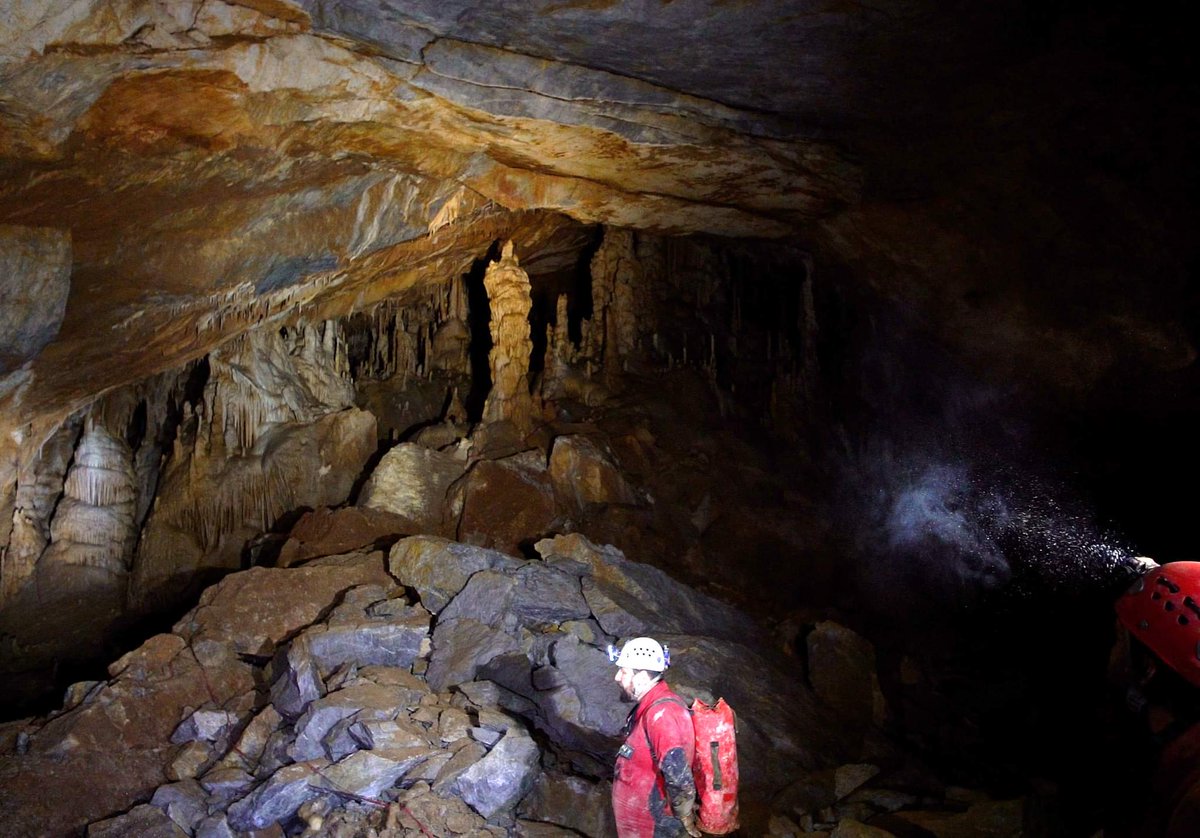 bluefrog_film's tweet photo. #cave #caves #cavesystems #caving #caveconservation #karst #underground https://t.co/dGxNcEB8DM