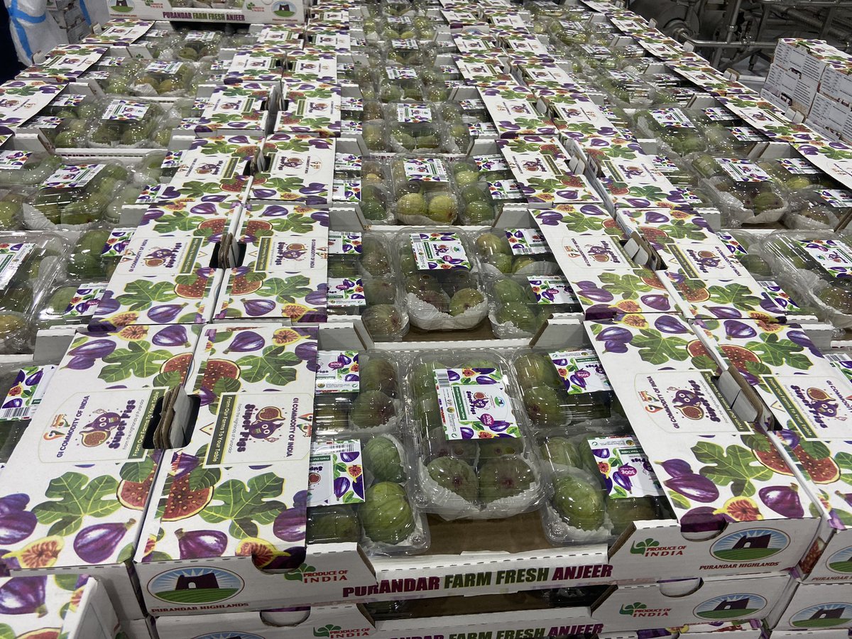 RohanUrsal's tweet photo. Hon.Shri @PiyushGoyal Sir, nearly an year after we exported India’s 1st trial consignment of GI tagged Purandar Figs to Germany,we now have exported India’s 1st commercial consignment of GI Purandar Figs to Hong Kong
@supriya_sule @PiyushGoyalOffc @CimGOI @APEDADOC @tourismgoi https://t.co/anoh0FEI6U