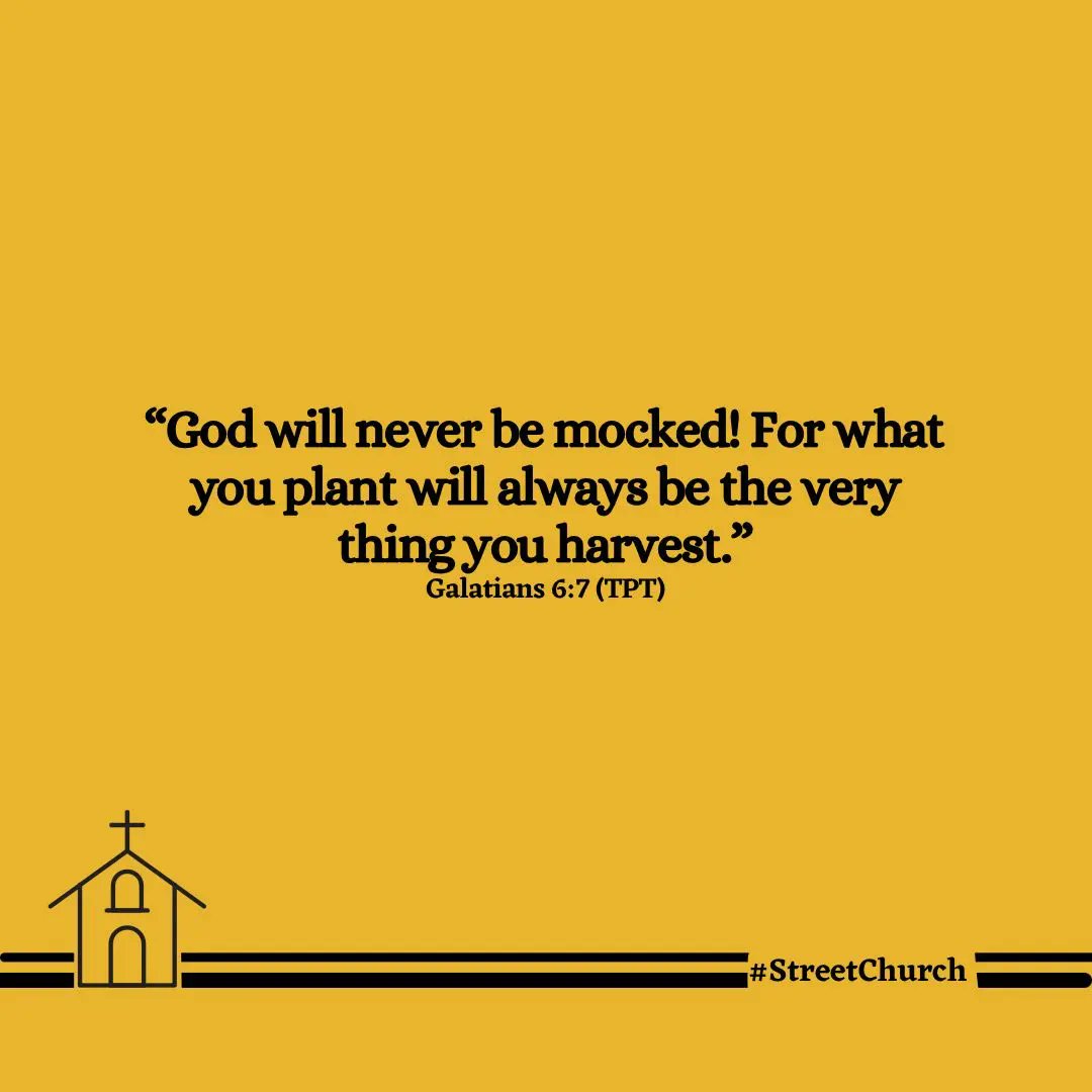 streetchurchh's tweet photo. God don give you as human being liberty to think &amp; birth wetin you wan see for your future. Plant today wetin you wan see for your tomorrow. 

Na exactly wetin you use your hand plant go “grow”, plant wisely!
.
.
#streetchurch #streetbible #dailydevotional https://t.co/2vuzb3F4xx