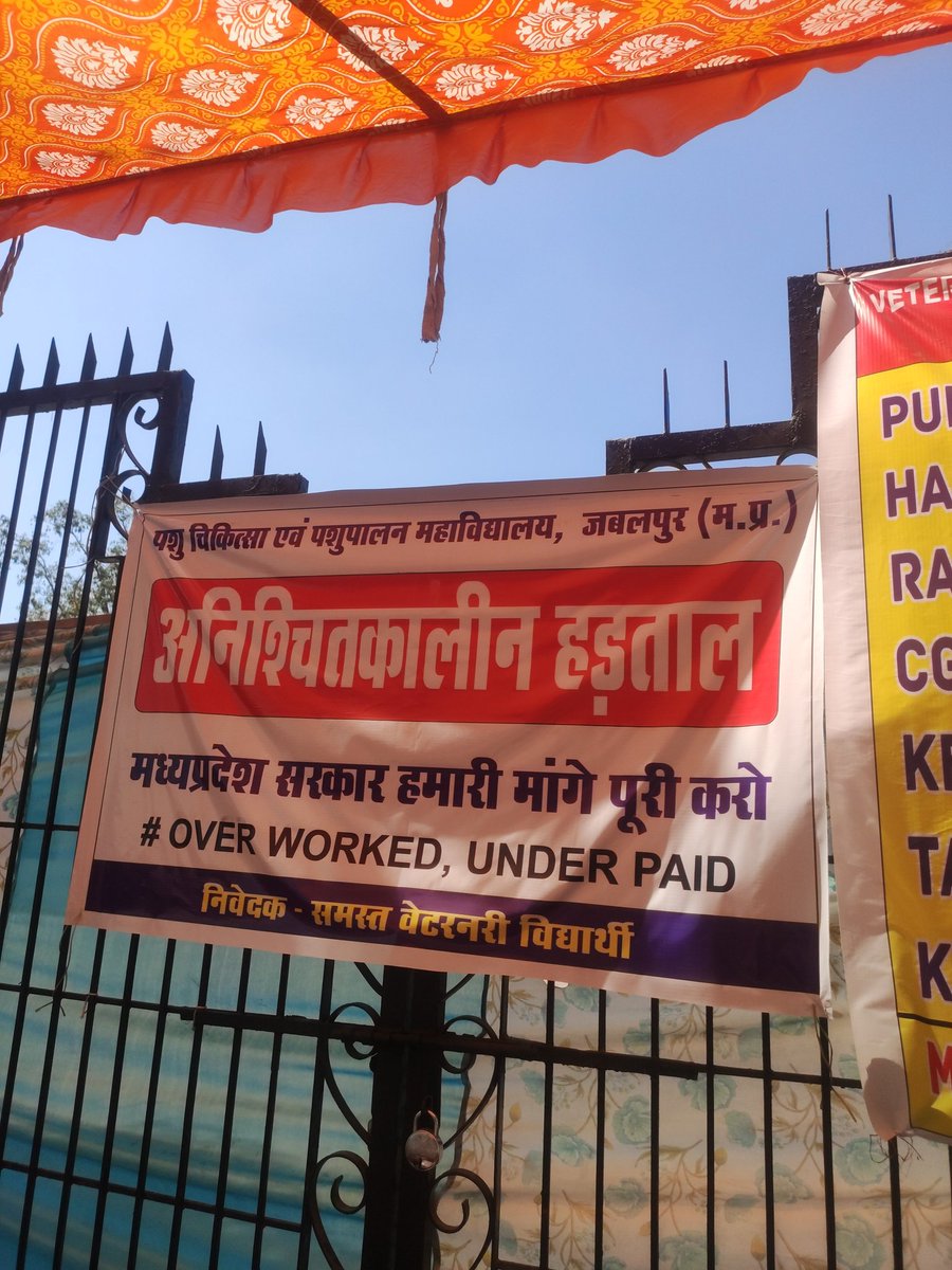 VetyJBP's tweet photo. Strike Day 09
जब तक मांगे अधूरी रहेंगी, तब तक हड़ताल जारी रहेगी।
@CMMadhyaPradesh @JagdishDevdaBJP @ChouhanShivraj #increaseMpVetStipend #increase_MP_Vet_Stipend https://t.co/nL88vXKx2c