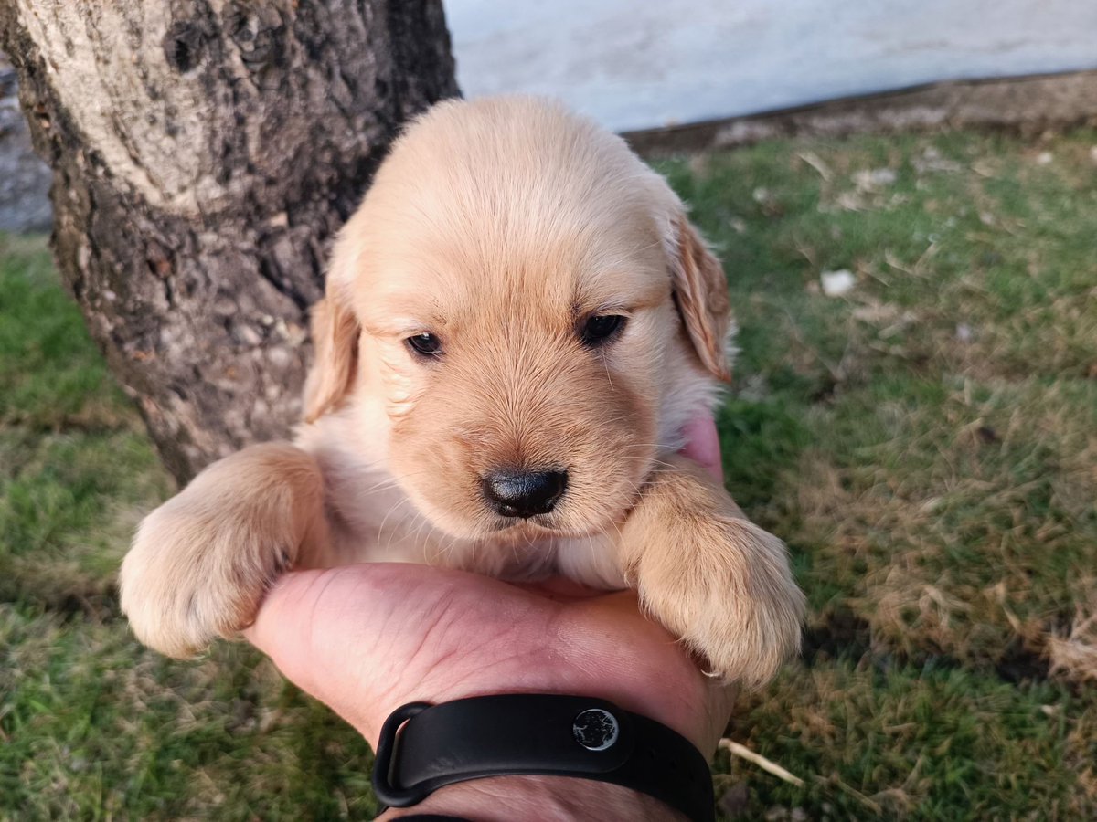 Sooooo cute