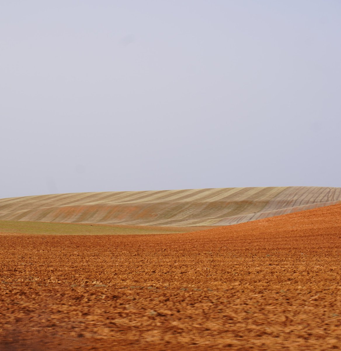 Daviddcoba's tweet photo. El más espectacular paisaje de campos de la provincia se encuentra en los confines de Soria con Segovia, por los Altos de Fuentecambrón y Ayllón. Son una sucesión de lomas y hondonadas rojas y rotas, encharcadas de colores tímidos, postizos e impostados. La paleta del campo. https://t.co/r7PecFiaya