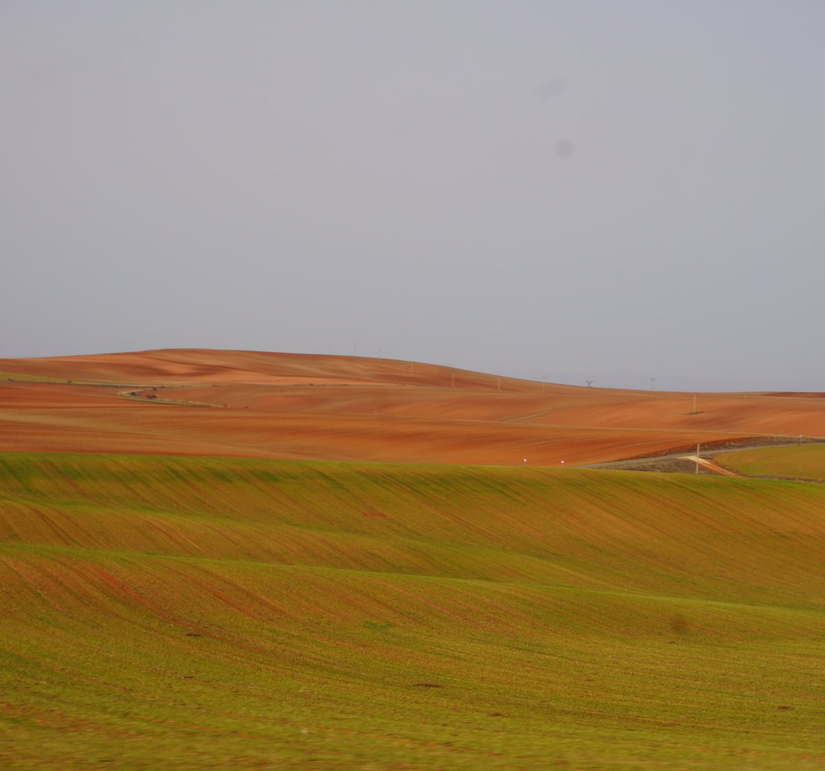 Daviddcoba's tweet photo. El más espectacular paisaje de campos de la provincia se encuentra en los confines de Soria con Segovia, por los Altos de Fuentecambrón y Ayllón. Son una sucesión de lomas y hondonadas rojas y rotas, encharcadas de colores tímidos, postizos e impostados. La paleta del campo. https://t.co/r7PecFiaya