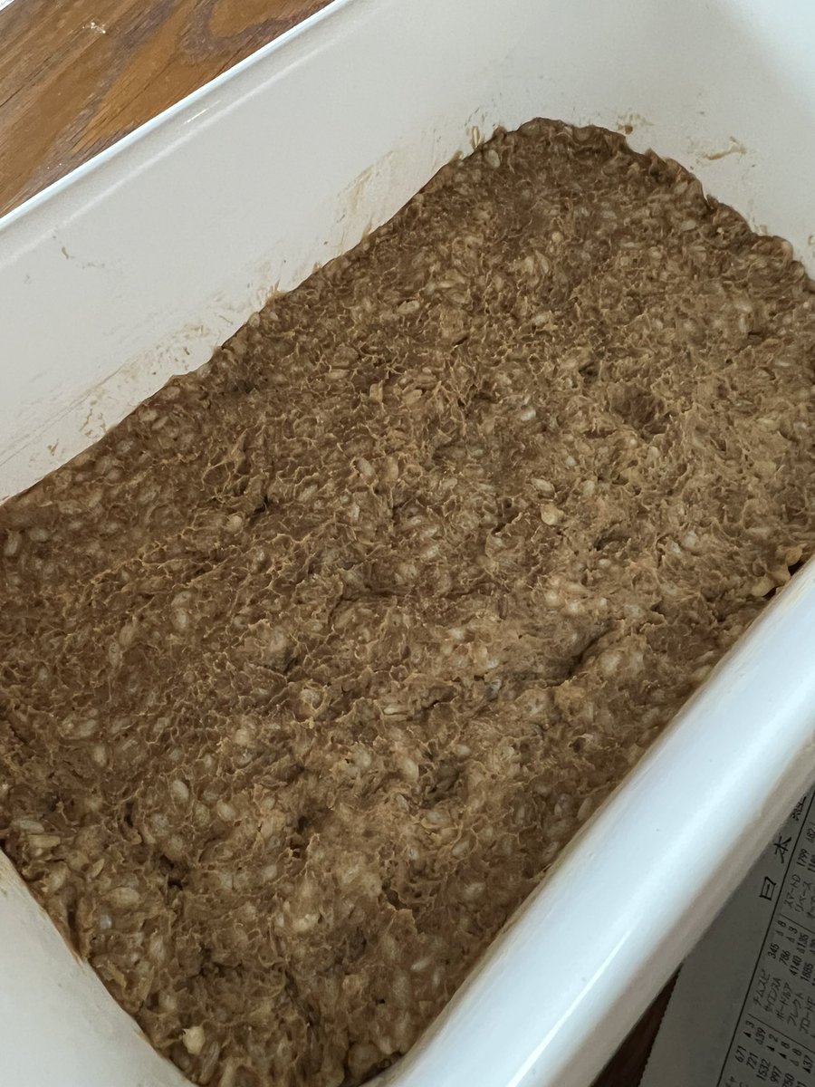 abechiaki's tweet photo. 今年も自家製味噌を仕込みました。
昨年仕込んだ手前味噌をいま食べているのですが、やはり自分の常在菌が混ざることで自分好みの味わいになるのでしょうか、とにかく美味しくて、お味噌汁は感動の味わい。このお味噌をいただく1年後が楽しみです。でも今食べているのが無くなったらそれまでどうしよ？ https://t.co/zXaPs9pc0T