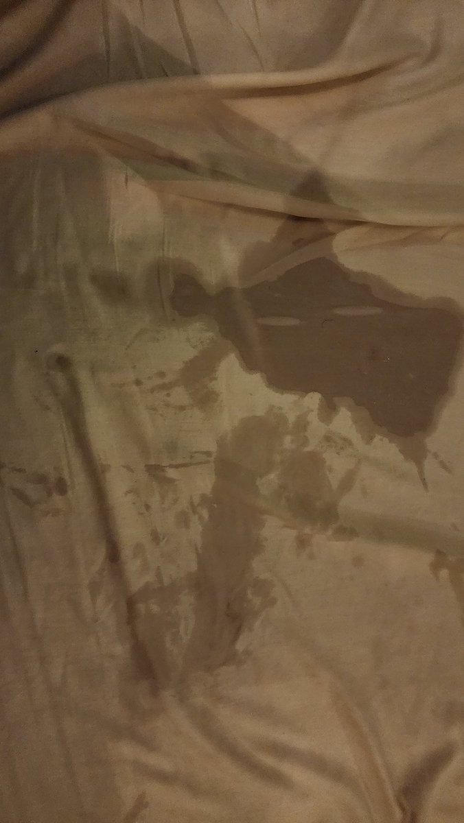 AWhaDoDem23's tweet photo. Twas a time lastnight 🍆💦😸🥹

https://t.co/uXpM0lamwR

#ThroatGOAT #GawkGawk3000 #SheMadeMyToesCurl #IwasLikeOhGirl #IssaSoulSnatcher #WetUp #Facial https://t.co/RHotkgaQZV