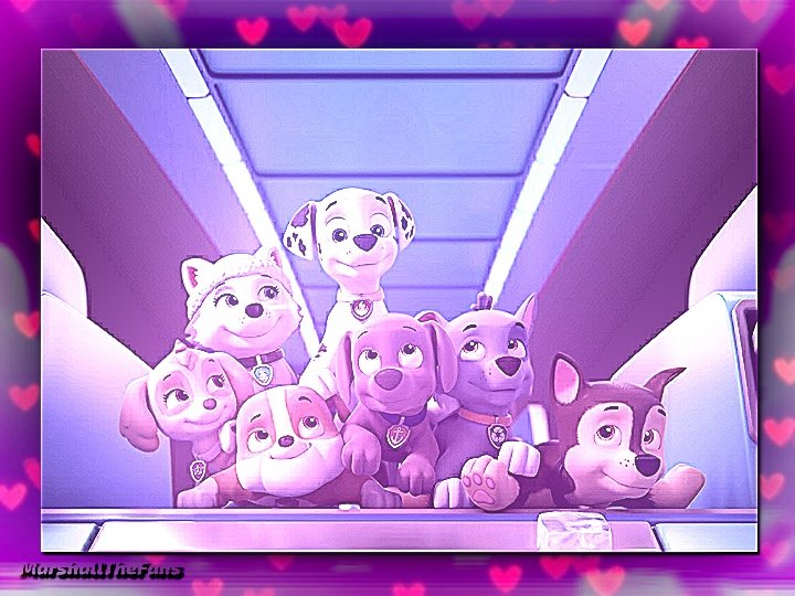 MarshallTheFans's tweet photo. Good morning to each of you! They are the best team 🐾❤️😁
Cuteness level: ♾️
#PAWPatrol #MarshallPawPatrol #PawPatrolTheBest #MarshallTheFans #LovePawPatrol #LoveMarshall #MarshallDalmatian #PawPatrolFan #MarshallFan #PawPatrolTeam #Skye #Everest #Zuma #Rocky #Chase #Rubble https://t.co/kRqiiTQr30