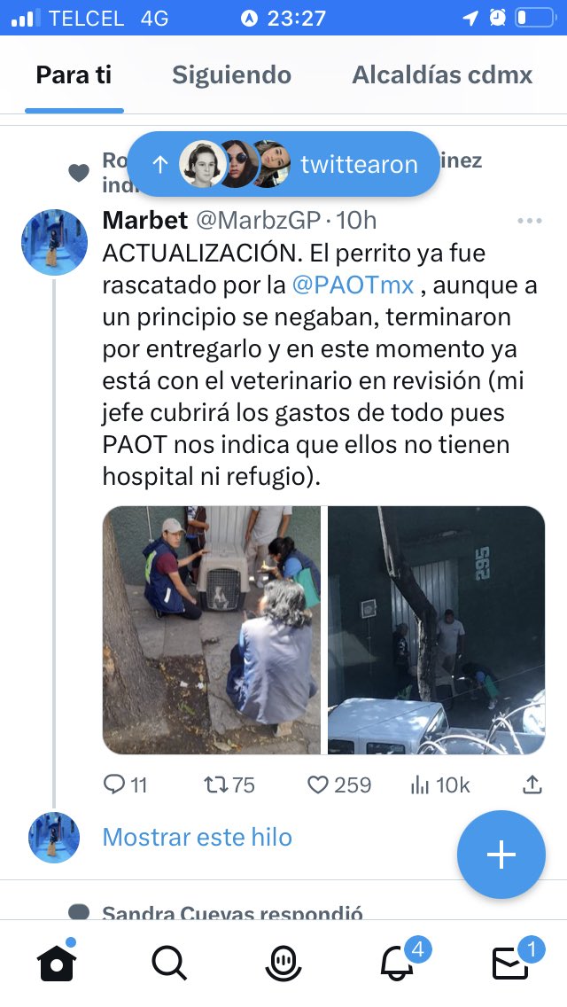 MorenaMia25's tweet photo. @ChuchoSesmaPVEM @mariana_boy @PAOTmx @TaniaLariosMX @Congreso_CdMex .@ChuchoSesmaPVEM Seguirse ROBANDO EL PRESUPUESTO!! Porque dicen no tener dinero para albergue ni veterinarios, pero ganan casi $100,000 las chuladas!! (Hasta el año 2021, más incrementos, bonos y tranzas. #FueraBoy #PaotNOmeAtiende #PaotMata https://t.co/FABX7mjgJd