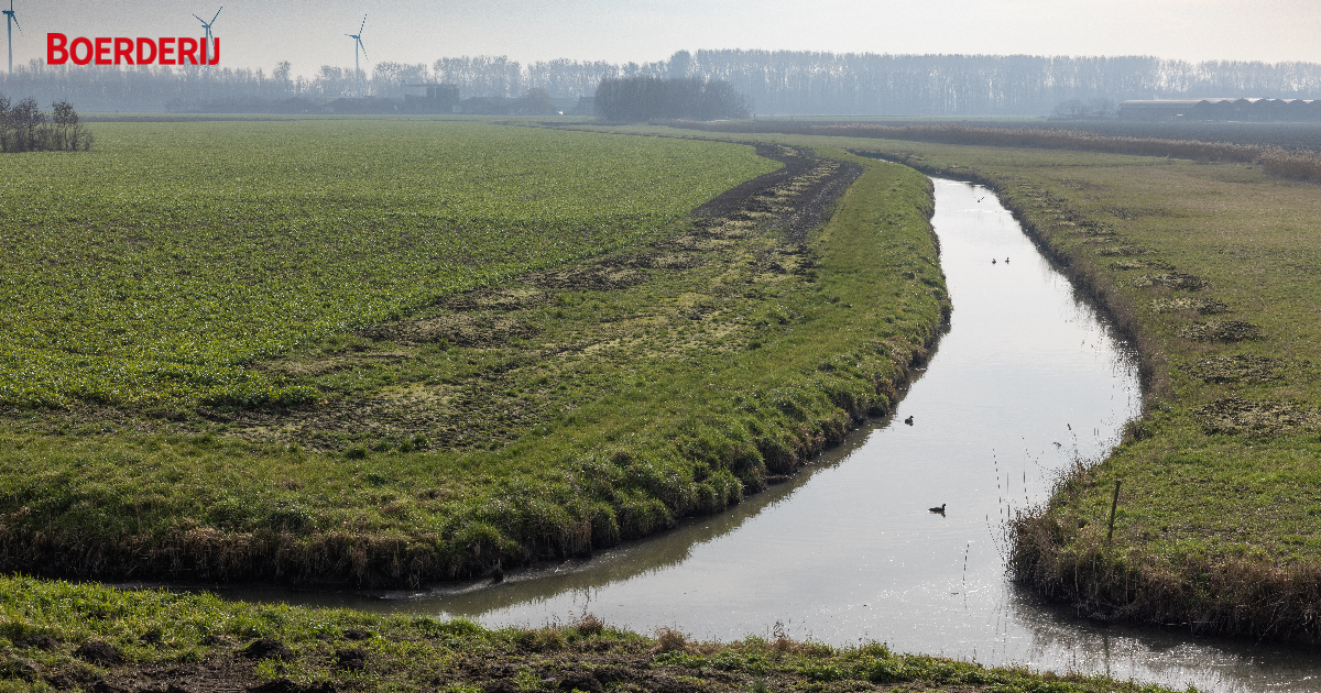 Boerderij_nl's tweet image. 𝗩𝗿𝗮𝗴𝗲𝗻 𝗲𝗻 𝗮𝗻𝘁𝘄𝗼𝗼𝗿𝗱𝗲𝗻 𝗼𝘃𝗲𝗿 𝗱𝗲 𝗯𝘂𝗳𝗳𝗲𝗿𝘀𝘁𝗿𝗼𝗸𝗲𝗻
Welke regels gelden voor de #bufferstroken? Lees het in boerderij.nl/aan-de-slag-me…
#GLB #mest