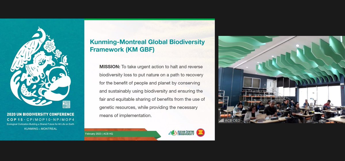 ABiodiversity's tweet photo. HAPPENING NOW 🦉🍃
The ACB is holding a brown bag discussion on the updates on the Kunming-Montreal Global Biodiversity Framework for its staff. Agenda items include developments at the #CBDCOP15 and the priority targets of the #ASEAN Member States.
#WeAreASEANBiodiversity https://t.co/rg5ogwrWov