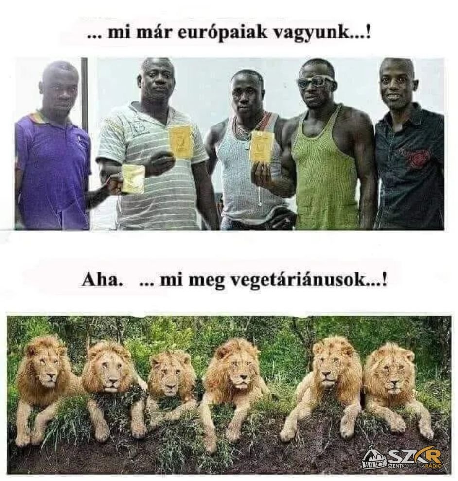 szkrcom's tweet image. #Immigration #migrationsproblem