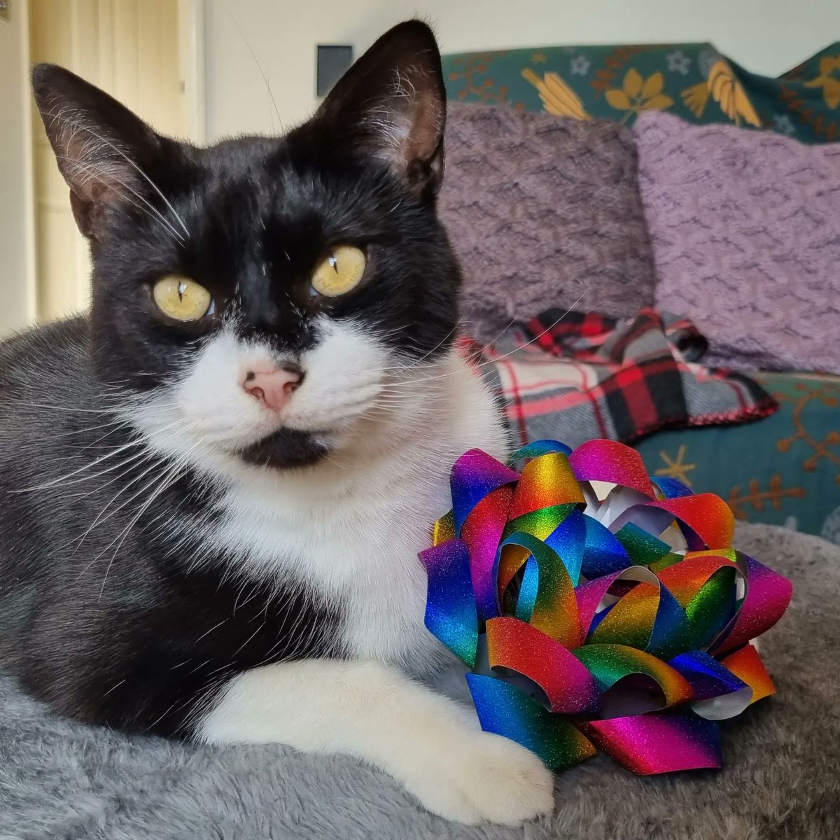 Kimberley Evans-Chudasama tweet media