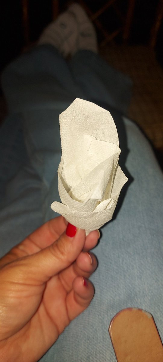 Me encontré con una hemosa niña desconocida llamada Lucero... la muy dulce con una servilleta de papel improviso una rosa y me la regalo❤️‍🩹 🕊🤍