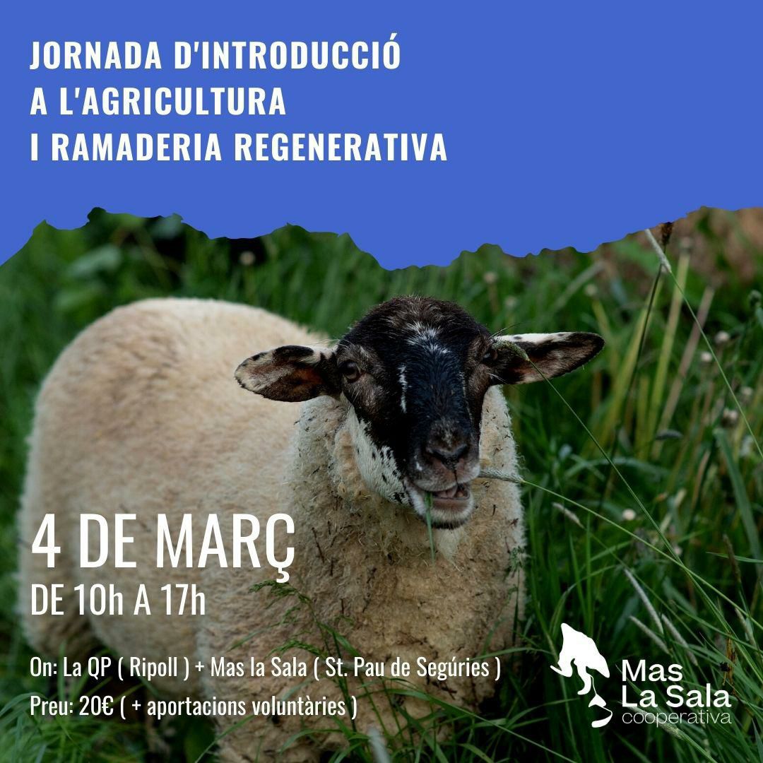 XES Ripollès tweet media