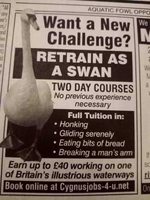 We guess many of you realise that it’s not always easy running a retail business and keeping everything ticketyboo, sometimes at least one of us every month is tempted...