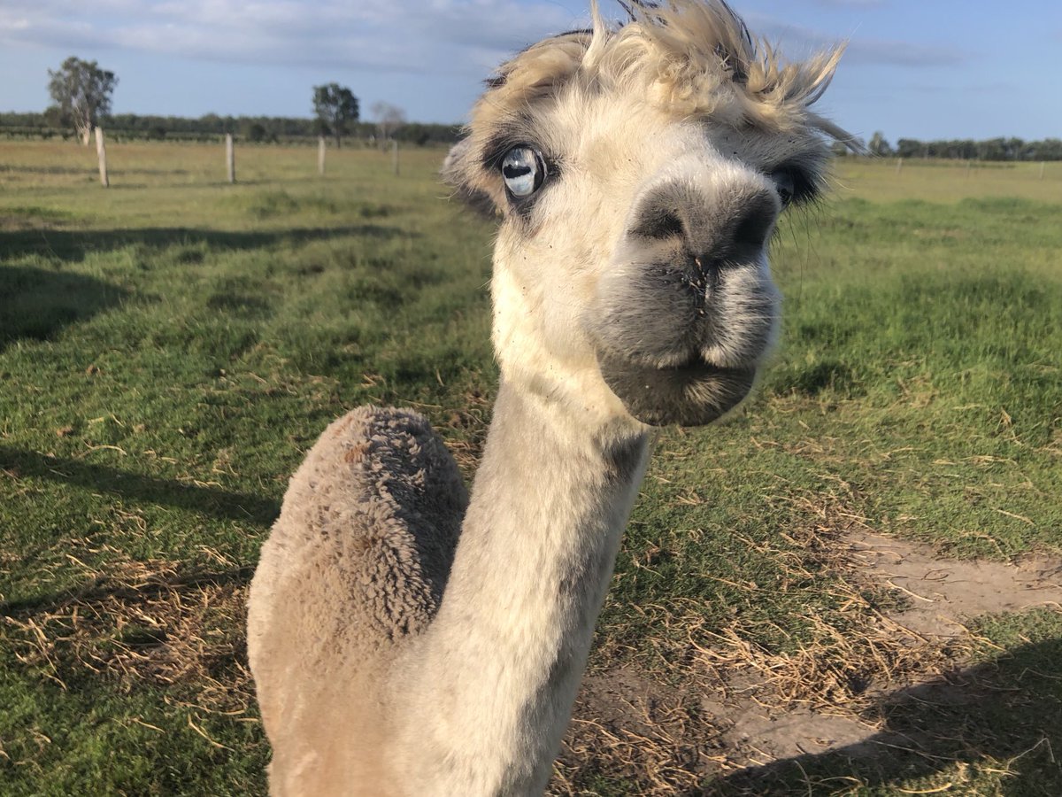 Whatcha doin' twitterifics? 🥰 #Zoe