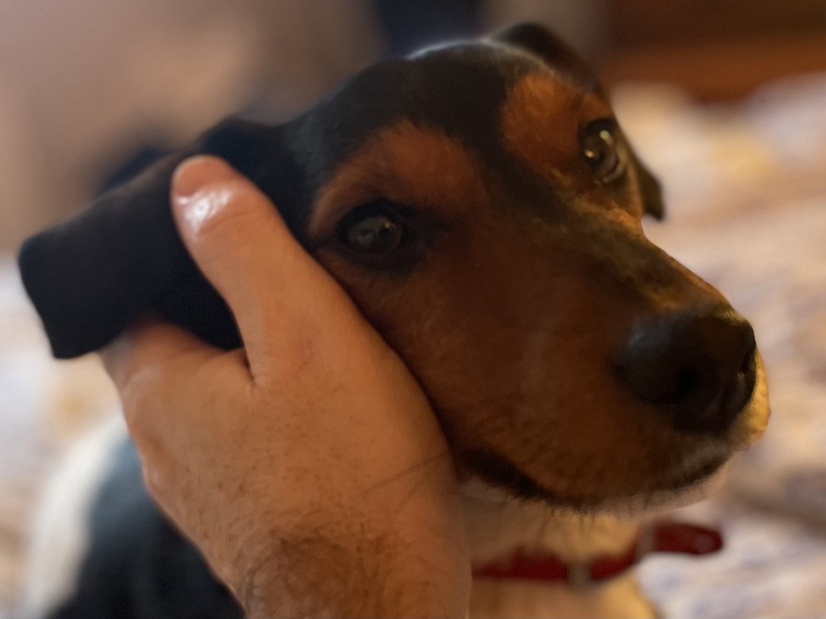 BBC Cameron Buttle tweet media