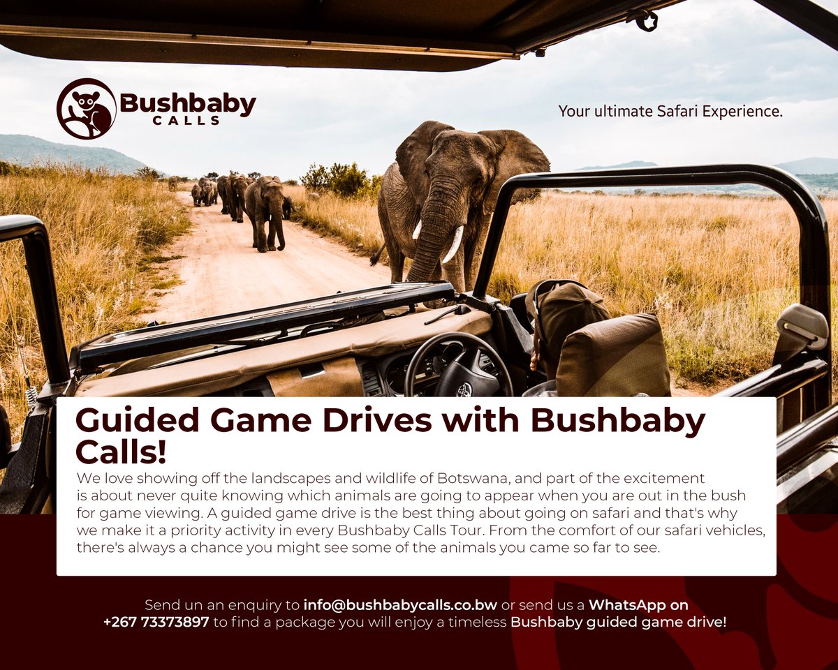 Send us an enquiry to info@bushbabycalls.co.bw or send us a WhatsApp at +267 73373897 today to find a package you and your family can enjoy!

#africansafari #budgetsafari #tentedcamping #travel
#guidedtours #botswana #botswanatourism #botswanasafari #ilovebotswana
