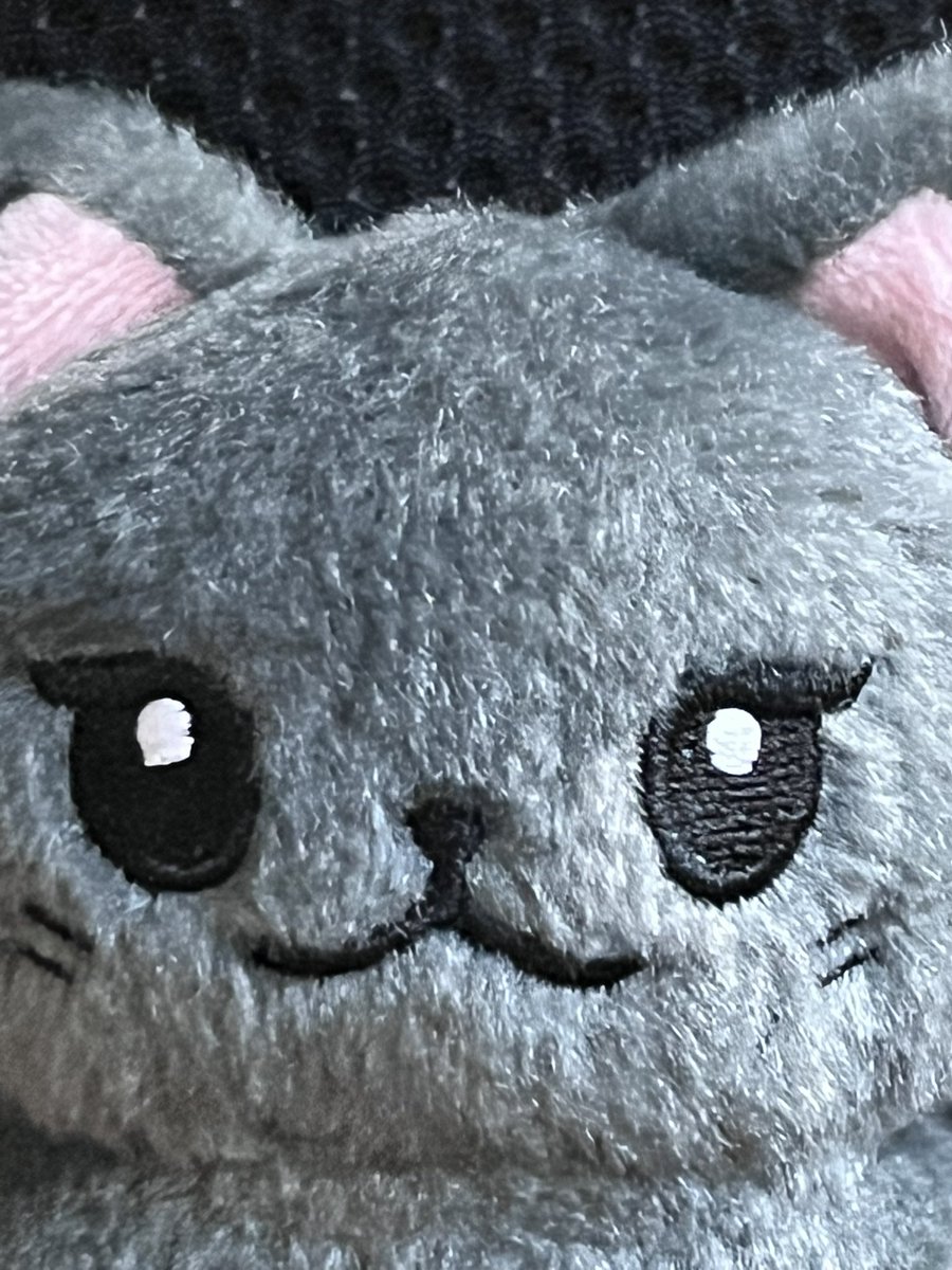 링냥이 재고판매 폼 오픈했습니다!

🗓️ 02. 21 - 재고 소진까지

🧷 witchform.com/deposit_form.p…