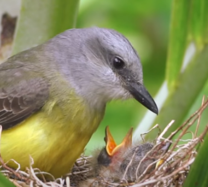 Nice day and nice work as well