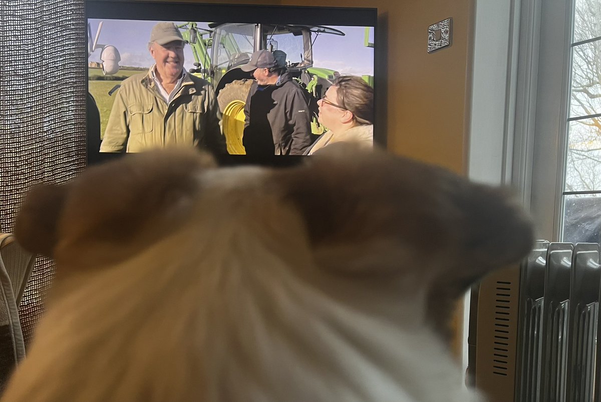 DomKingLive's tweet photo. Turns out Ralphie is a fan of #clarksonfarm2 https://t.co/cPkh1A3nub