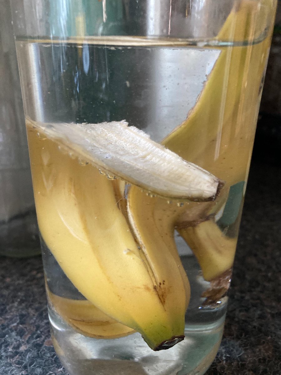 Love a good banana? Need fertiliser? Not so keen on frying the skins for a vegan treat (apparently a thing)? 

Pop the skins in some water & leave them for a few days. Then hey presto, you've got a wonderful fertiliser! Just water plants. Same with nettles. 

#PlasticFreeJuly